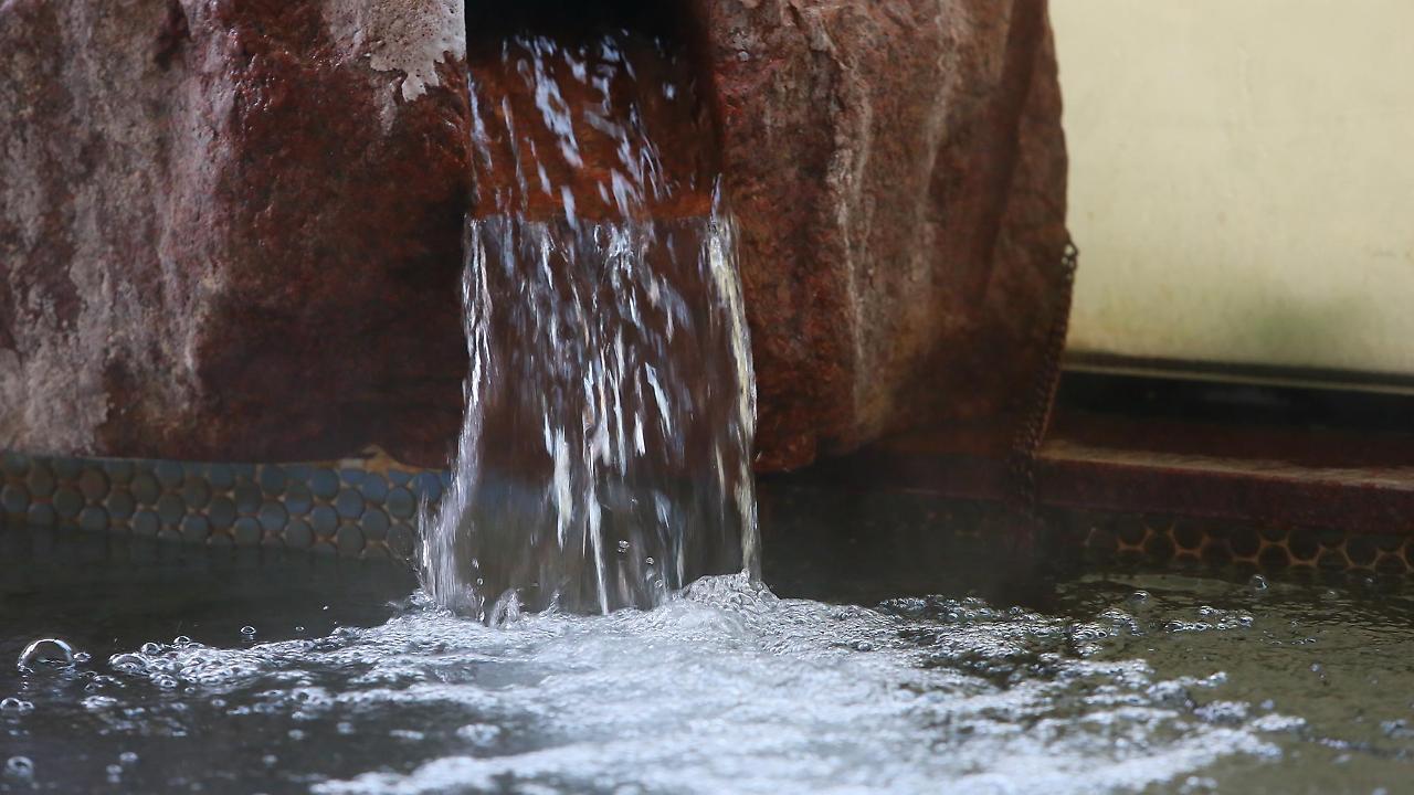 Ryokan Ooedo-onsen Monogatari Toi Marine