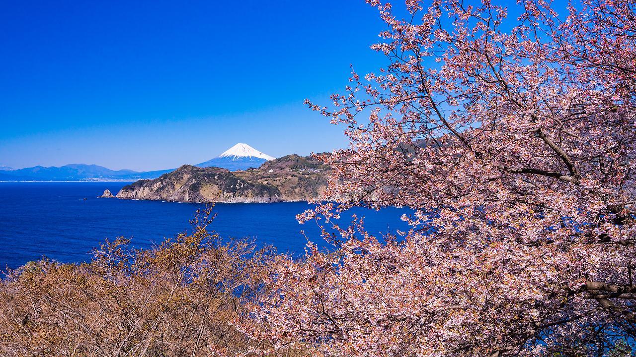 Ryokan Ooedo Onsen Monogatari Toi Marine Izu (Shizuoka)